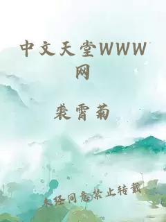 中文天堂WWW网