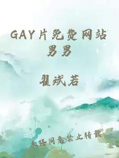 GAY片免费网站男男